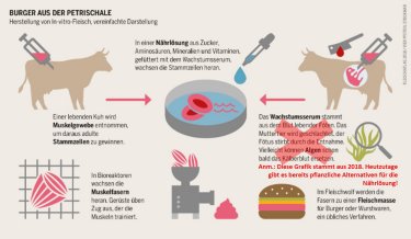 Burger aus dem Labor: Herstellung von In-Vitro-Fleisch. Infografik