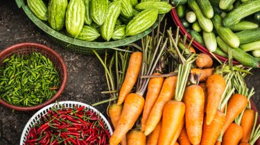 eine Sammlung von verschiedenem Gemüse, darunter Karotten und Gurken