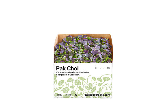 Herbeus Micro Greens Pak Choi Herbeus Micro Greens Pak Choi