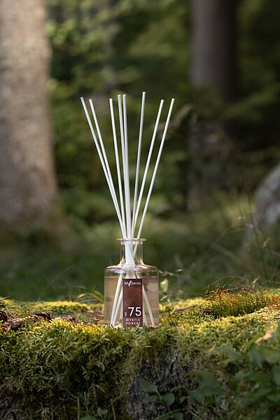 MySenso ALPINE mit Bio Zirbenöl