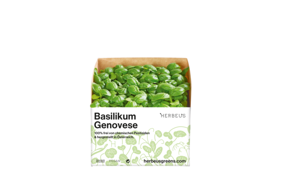 Herbeus Micro Greens Basil Genovese Herbeus Micro Greens Basil Genovese