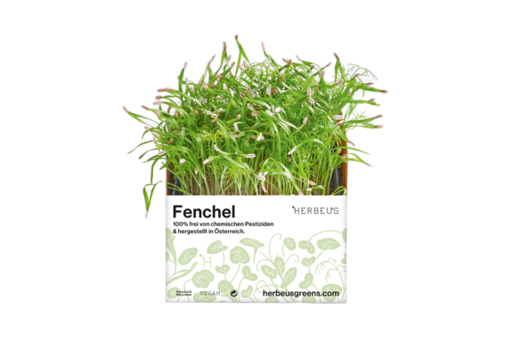 Herbeus Micro Greens Fennel Herbeus Micro Greens Fennel