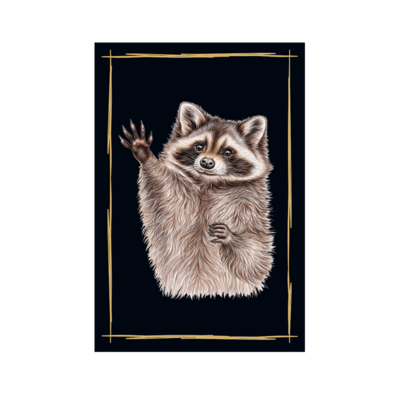 Magnet - Waschbär