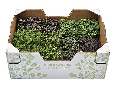 Herbeus Alpin Mix