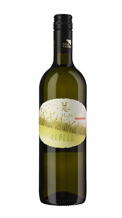 REBELL Weinviertel DAC Grüner Veltliner 2025