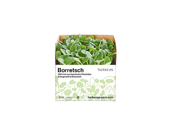 Herbeus Micro Greens Borretsch Herbeus Micro Greens Borretsch