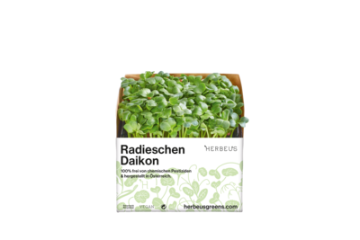 Herbeus Micro Greens Radish Daikon