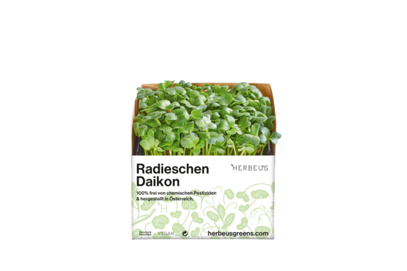 Herbeus Micro Greens Radish Daikon Herbeus Micro Greens Radish Daikon