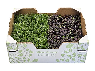 Herbeus Heurigen Mix
