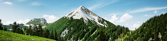 Alpenhain Käsespezialitäten GmbH