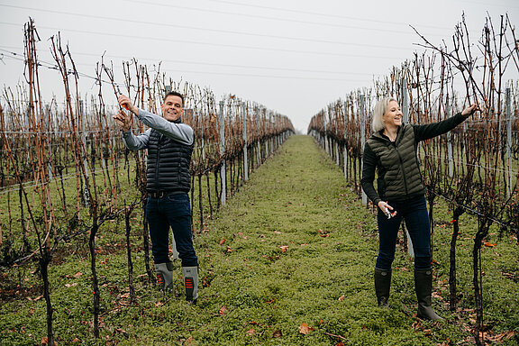 Weingut Migsich e.U.
