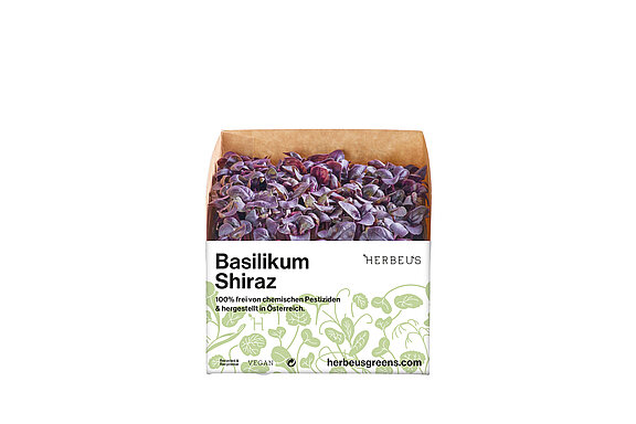Herbeus Micro Greens Basilikum Shiraz Herbeus Micro Greens Basilikum Shiraz