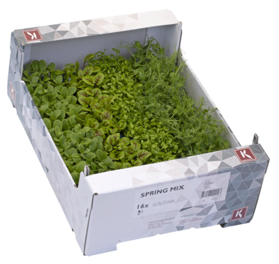 Spring Mix