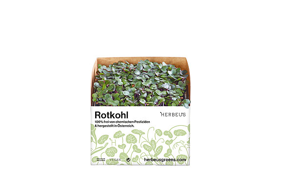 Herbeus Micro Greens Rotkohl Herbeus Micro Greens Rotkohl