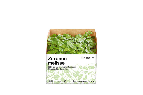 Herbeus Micro Greens Zitronenmelisse Herbeus Micro Greens Zitronenmelisse