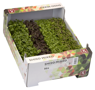 Shiso Mix