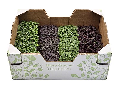 Herbeus Perilla Mix