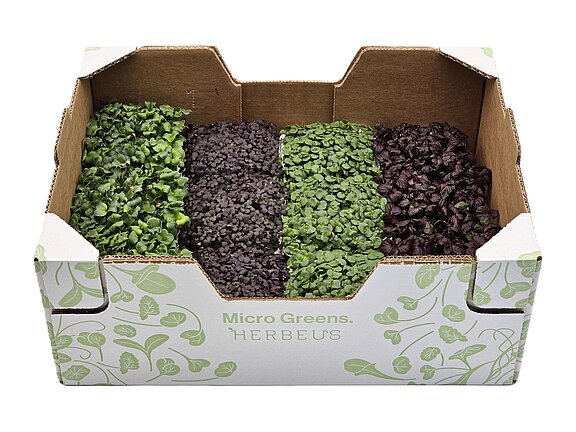 Herbeus Perilla Mix