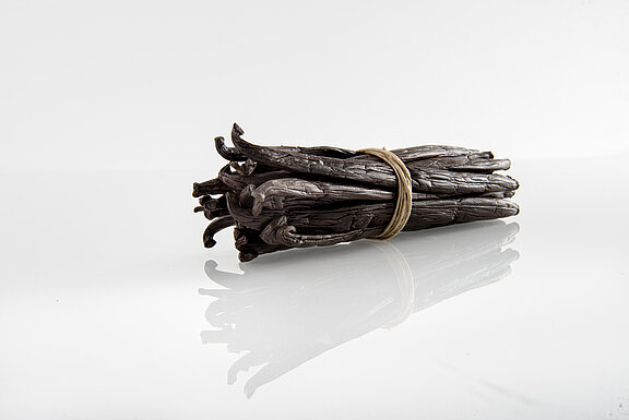 Vanilla Pods Tahitensis French polynesia