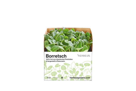 Herbeus Micro Greens Borage Herbeus Micro Greens Borage