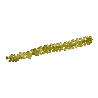 Moai Caviar