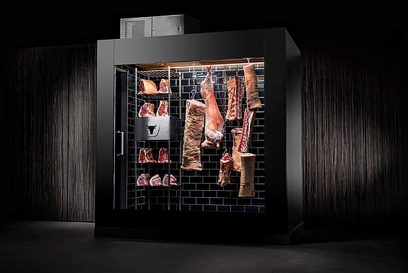 DRY AGER - Begehbare Reifezelle