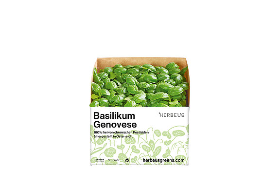 Herbeus Micro Greens Basilikum Genovese Herbeus Micro Greens Basilikum Genovese