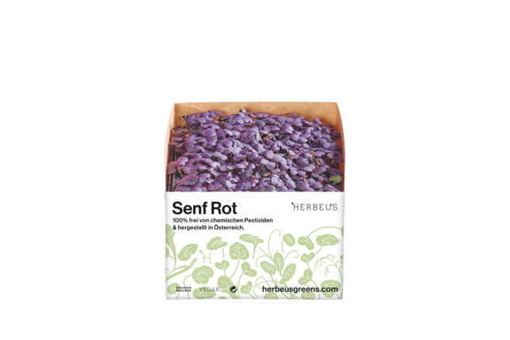 Herbeus Micro Greens Mustard Red Herbeus Micro Greens Mustard Red