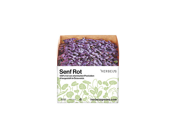 Herbeus Micro Greens Senf Rot Herbeus Micro Greens Senf Rot