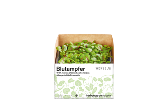 Herbeus Micro Greens Sorrel Herbeus Micro Greens Sorrel