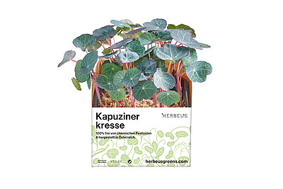 Herbeus Micro Greens Kapuzinerkresse