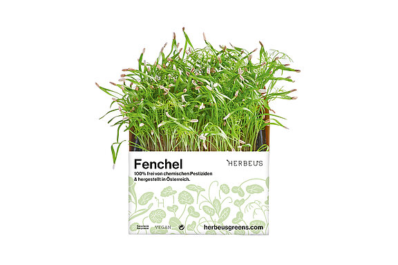 Herbeus Micro Greens Fenchel Herbeus Micro Greens Fenchel