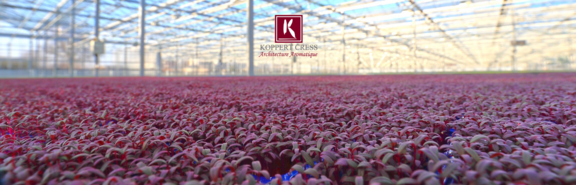 Koppert Cress B.V.