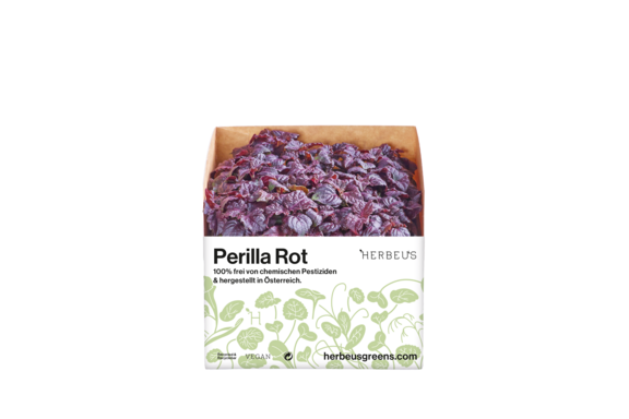 Herbeus Micro Greens Perilla Red Herbeus Micro Greens Perilla Red