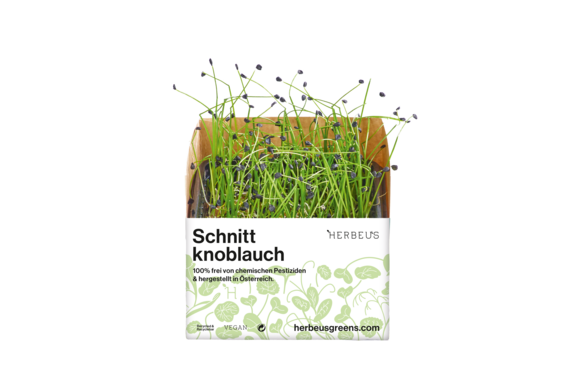 Herbeus Micro Greens Chives Herbeus Micro Greens Chives