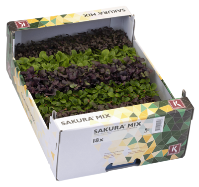 Sakura® Mix