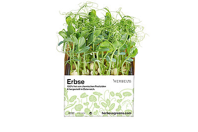 Herbeus Micro Greens Erbse