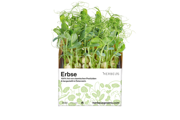 Herbeus Micro Greens Pea Herbeus Micro Greens Pea
