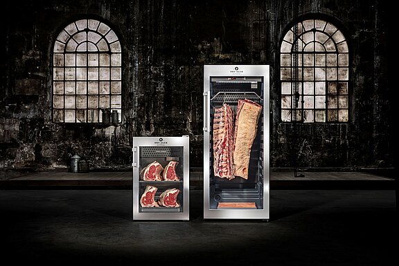 DRY AGER - DX 500 Premium S