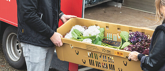 FM Group: Blumen + Mehr