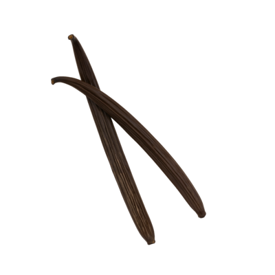 Planifolia Black - Niederländische Premium Vanille