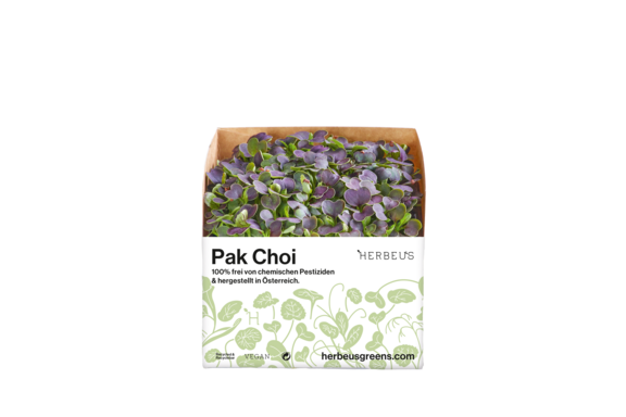 Herbeus Micro Greens Pak Choi Herbeus Micro Greens Pak Choi