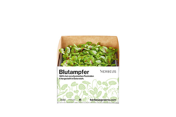 Herbeus Micro Greens Blutampfer Herbeus Micro Greens Blutampfer